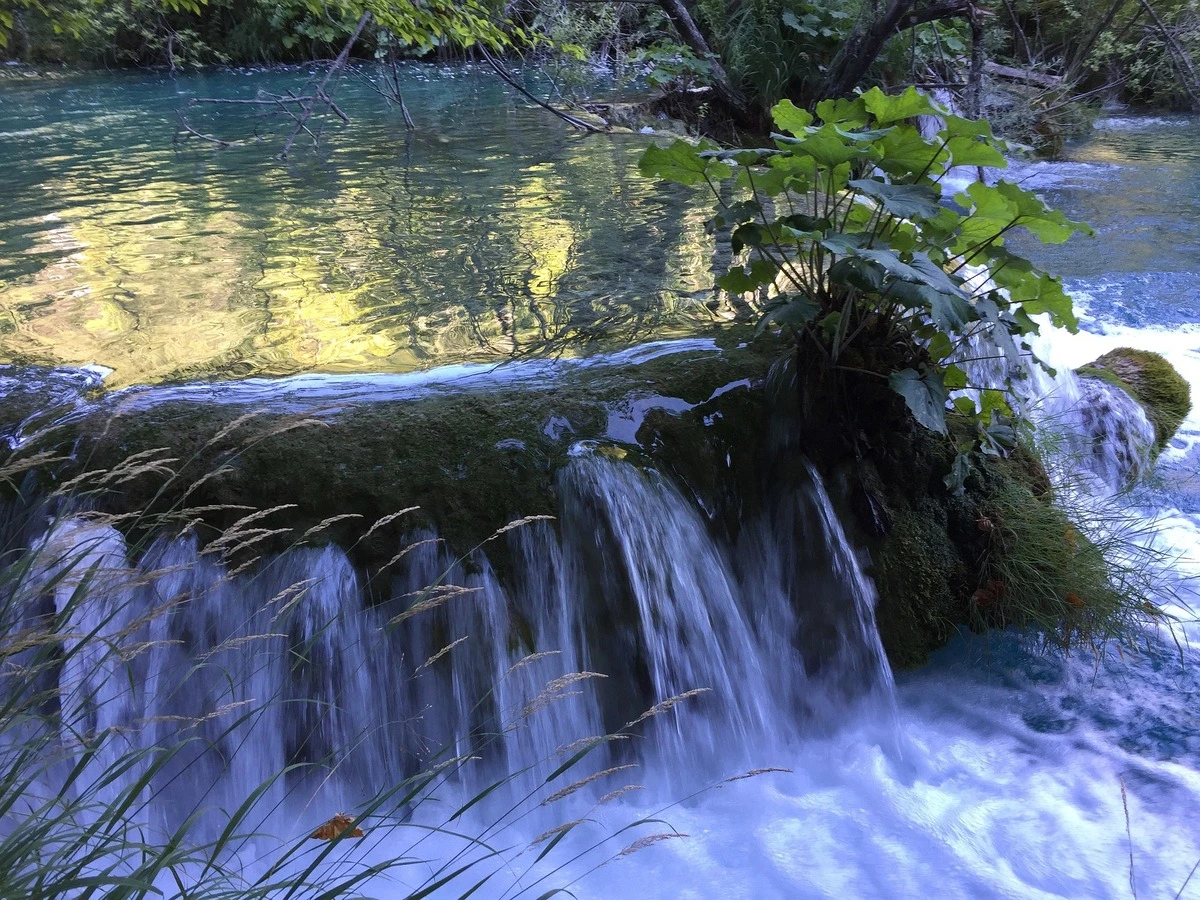 Croatia nature